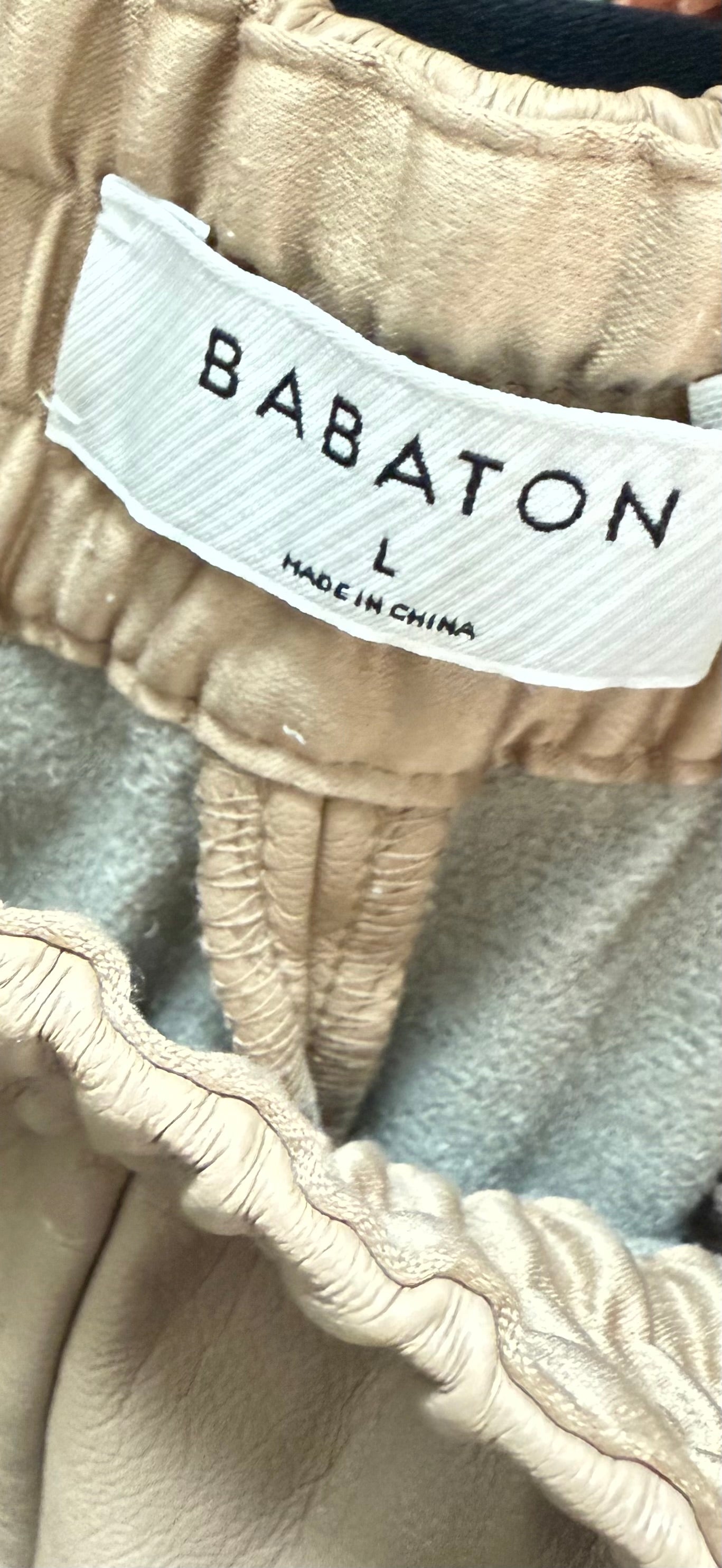 Aritzia Babaton Zedel Jogger (L)