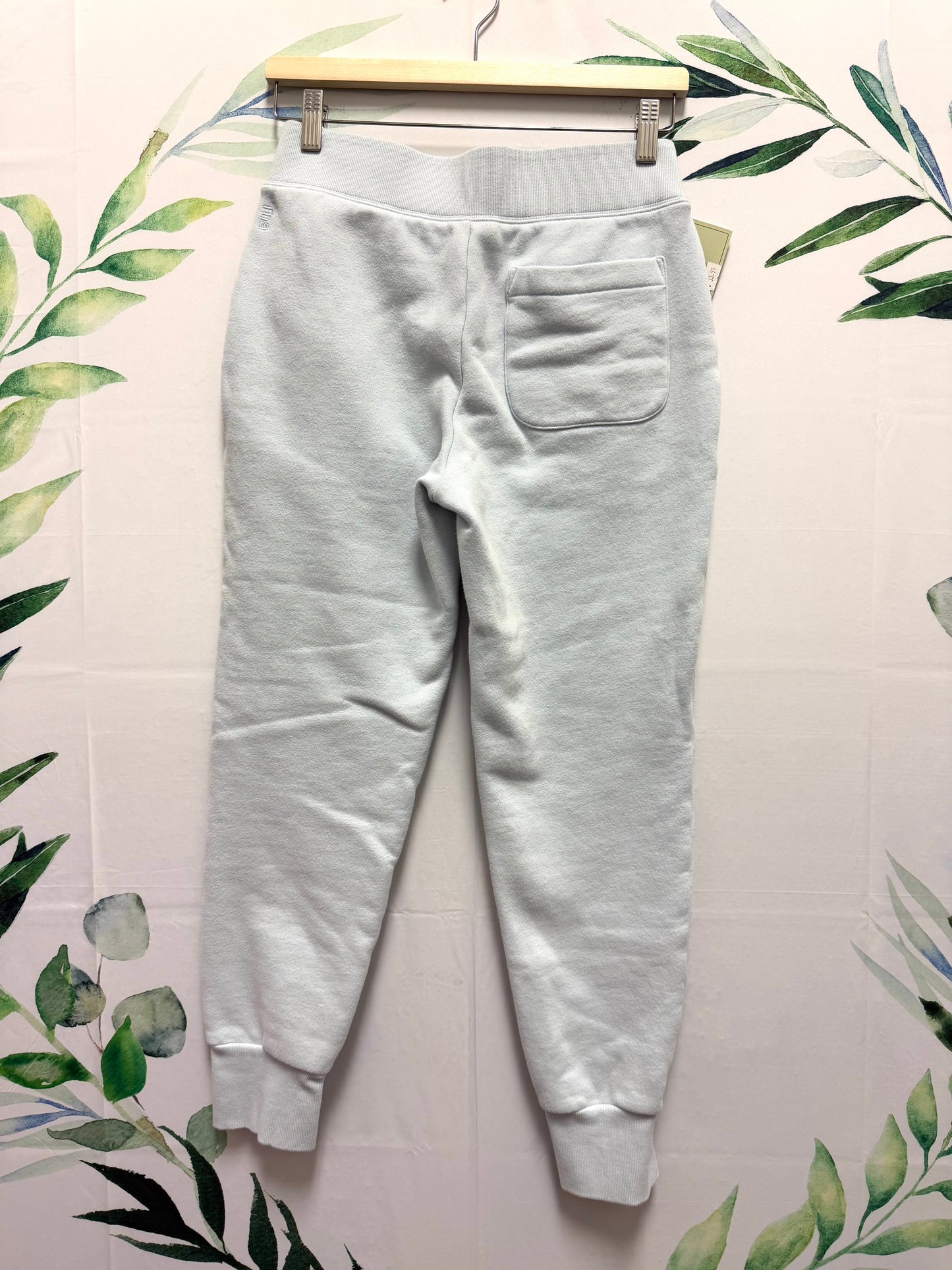 Aritzia TNA CozyAF Fleece Sweatpants (S)