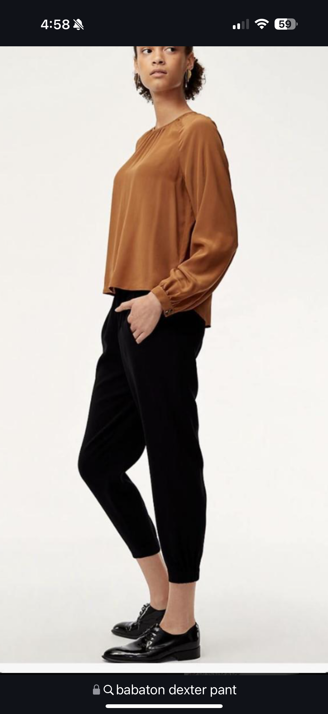 Aritzia Babaton Dexter Pant (S) (L)
