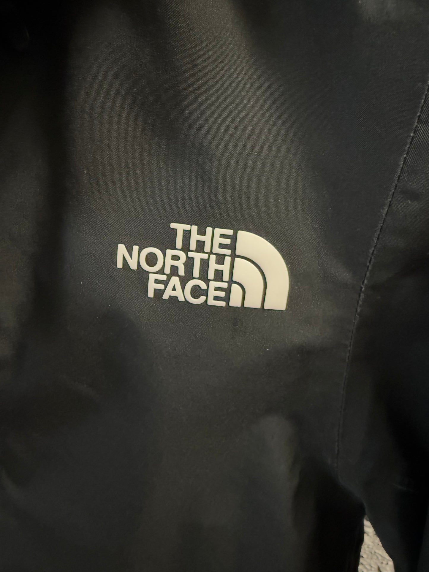 The North Face Ski Jacket (M)