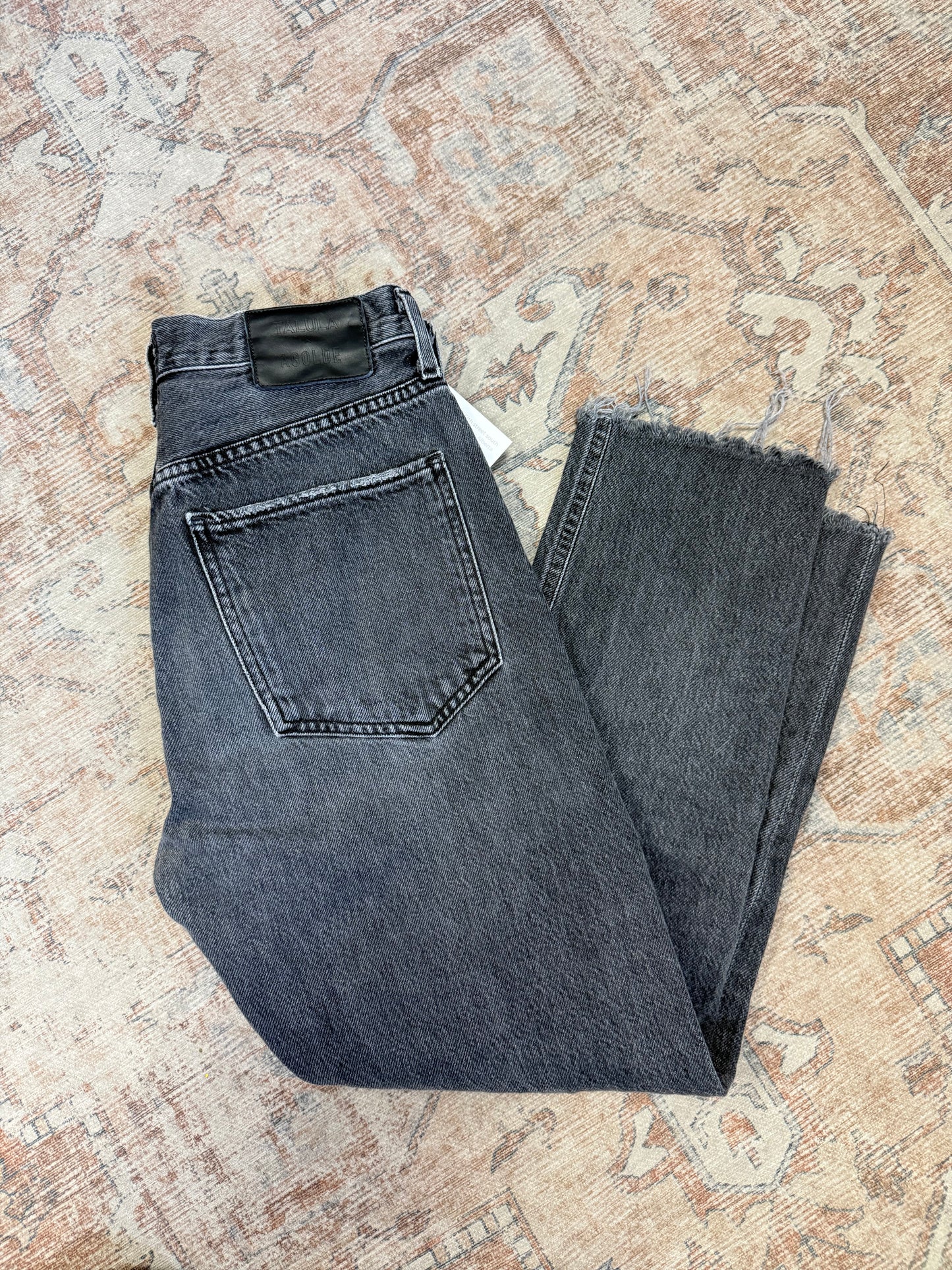 Agolde x Talula Taper HR Jeans (25x24)