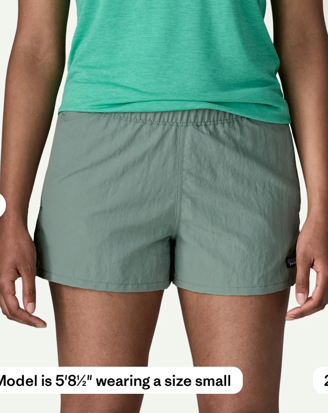 Patagonia Barely Baggies MR Short 2.5” (L)
