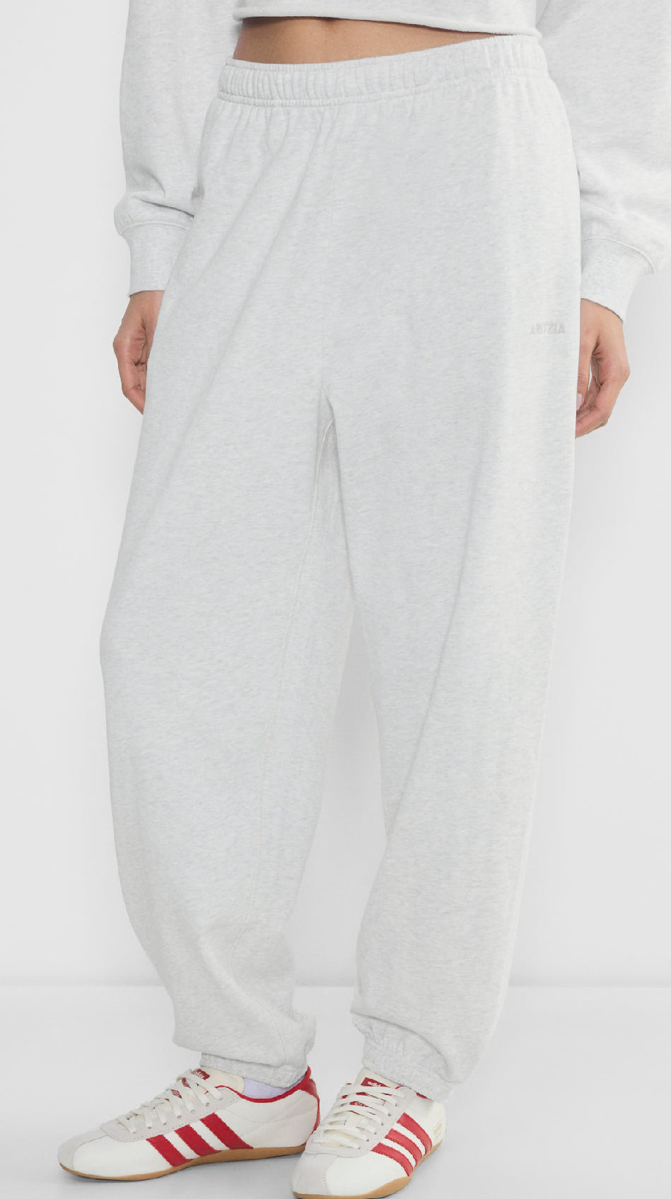 Aritzia TNA Terry Sweatfleece Mega Jogger (S)