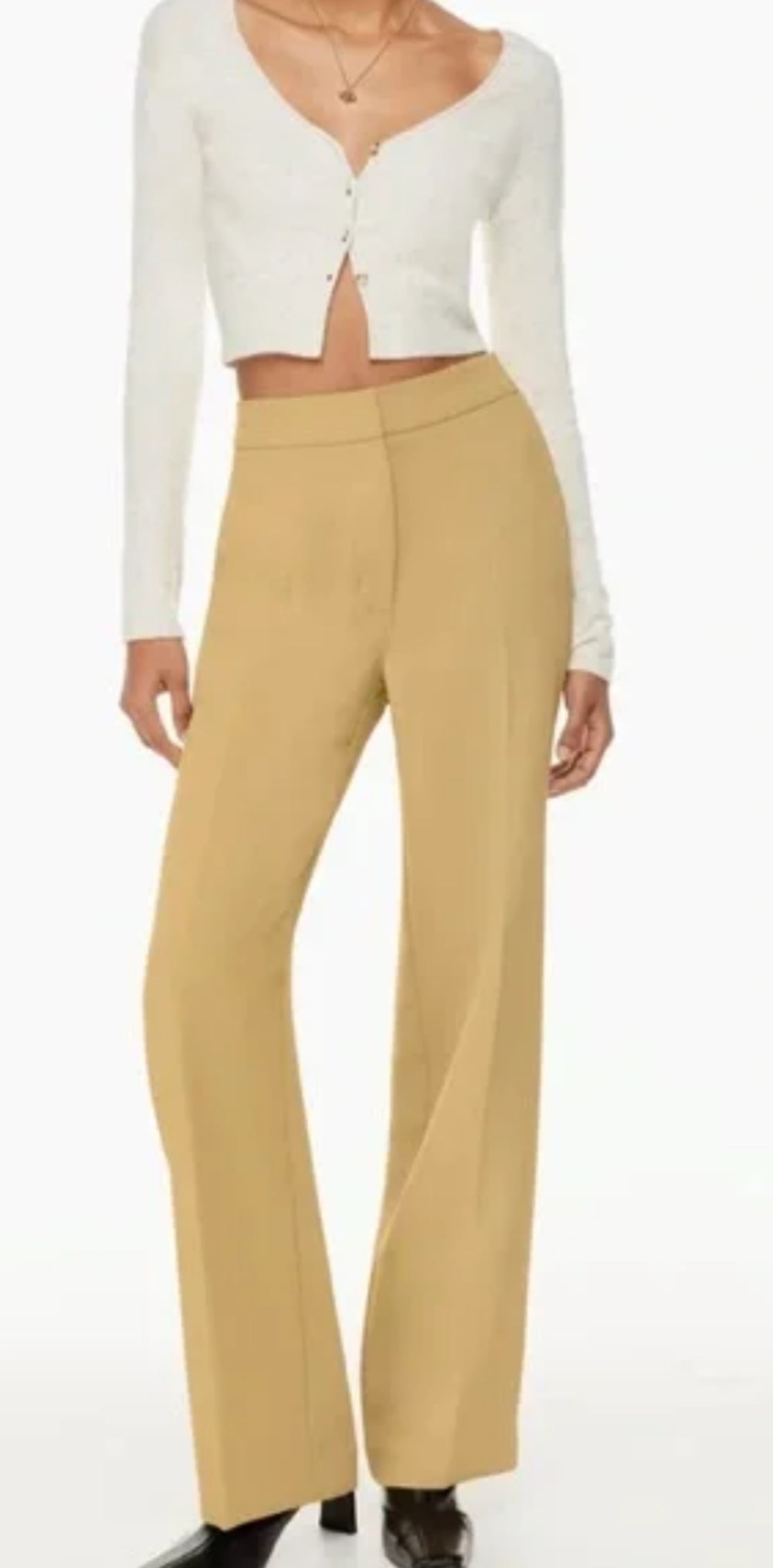 Aritzia Wilfred Alanya Pant (10)