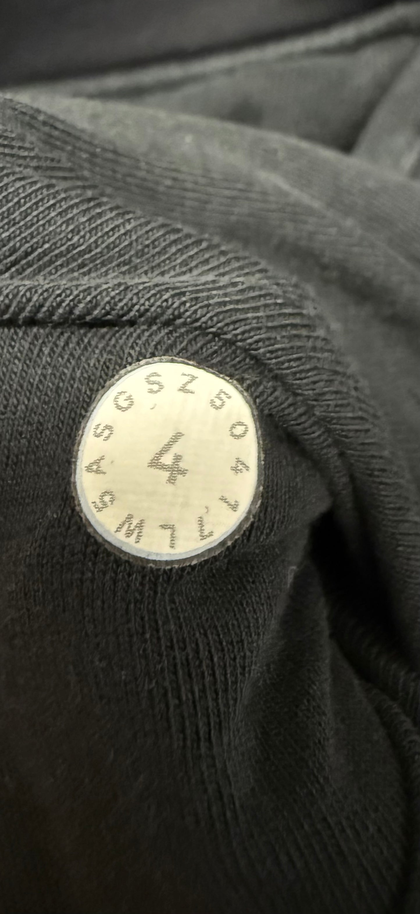 Lululemon Get Going MR Jogger 28” (4)