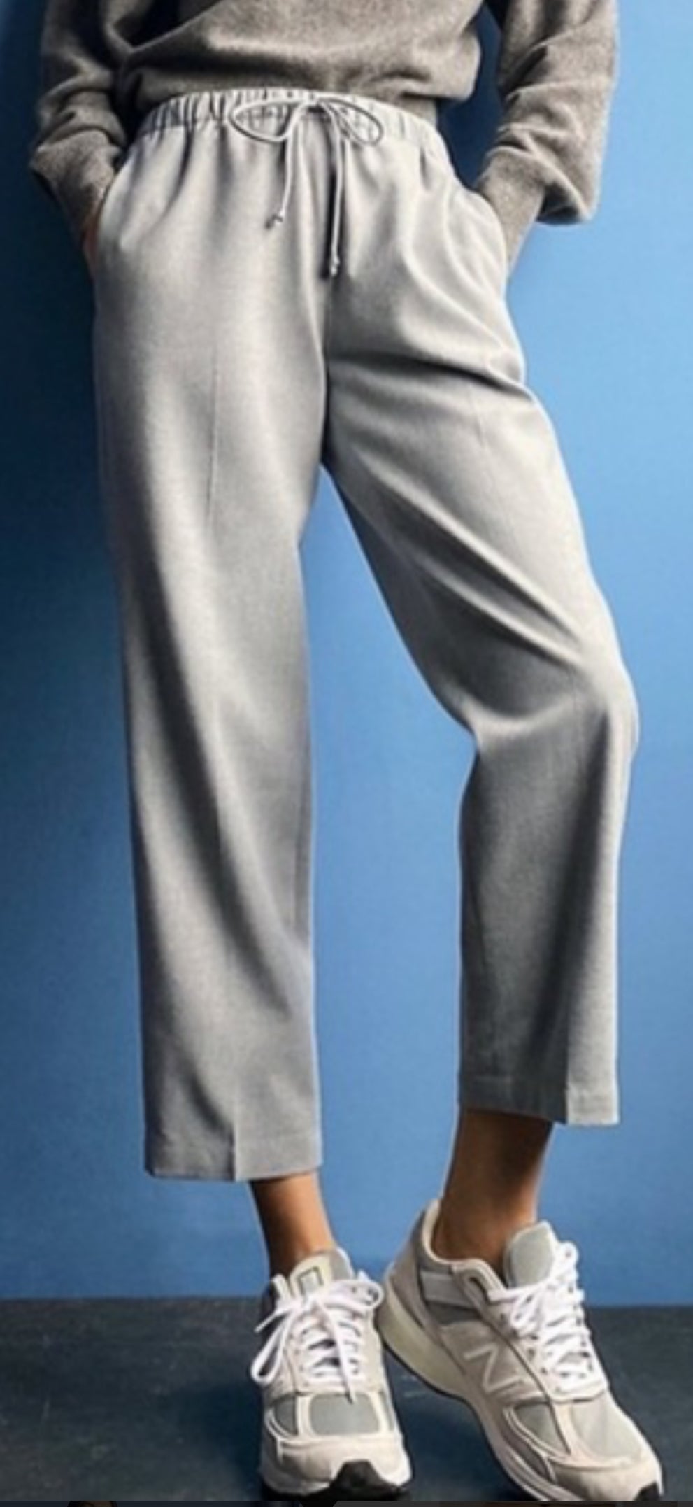 Aritzia Babaton Jimmy Pant (L)