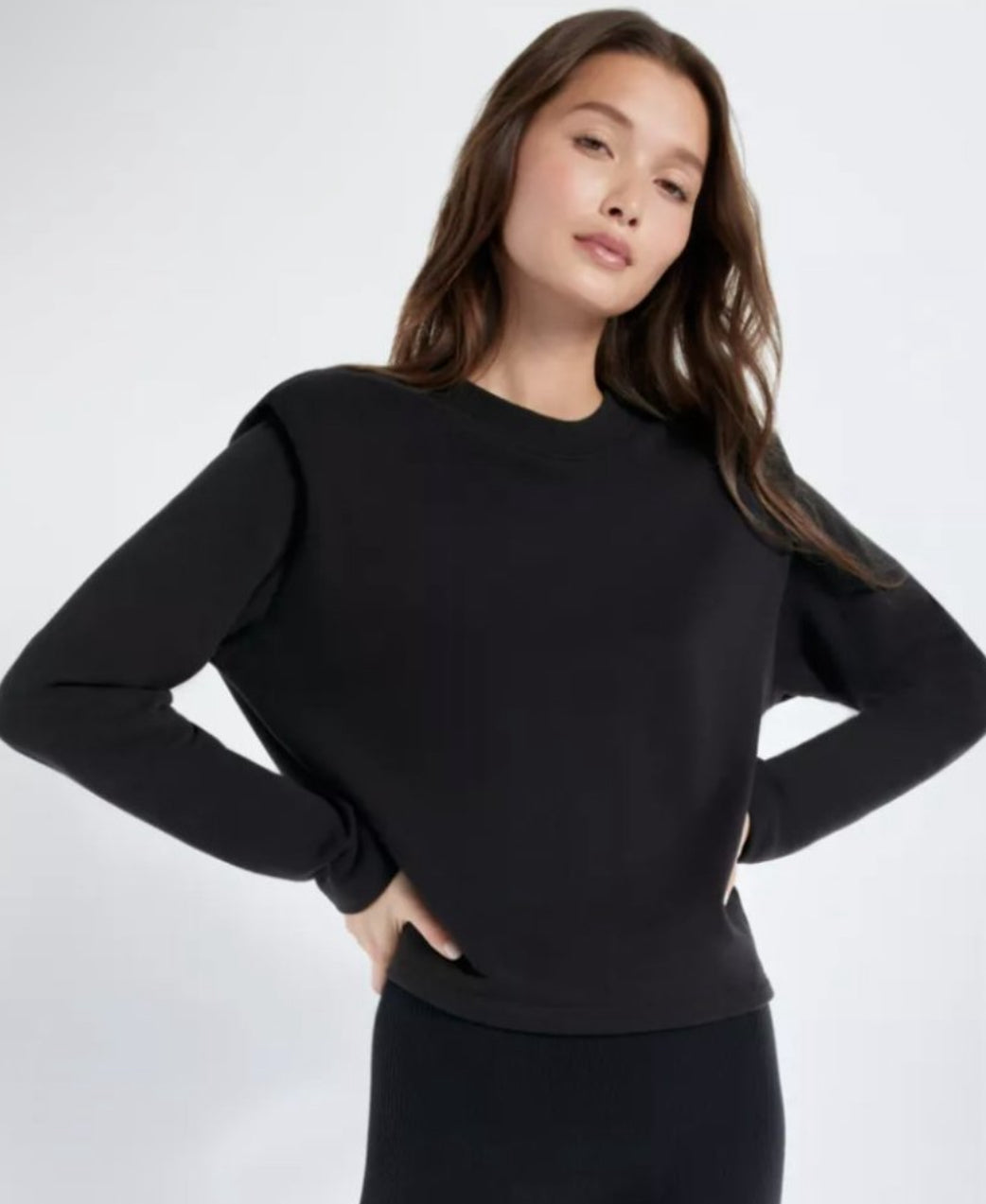 Aritzia Babaton Persona Crewneck (M)