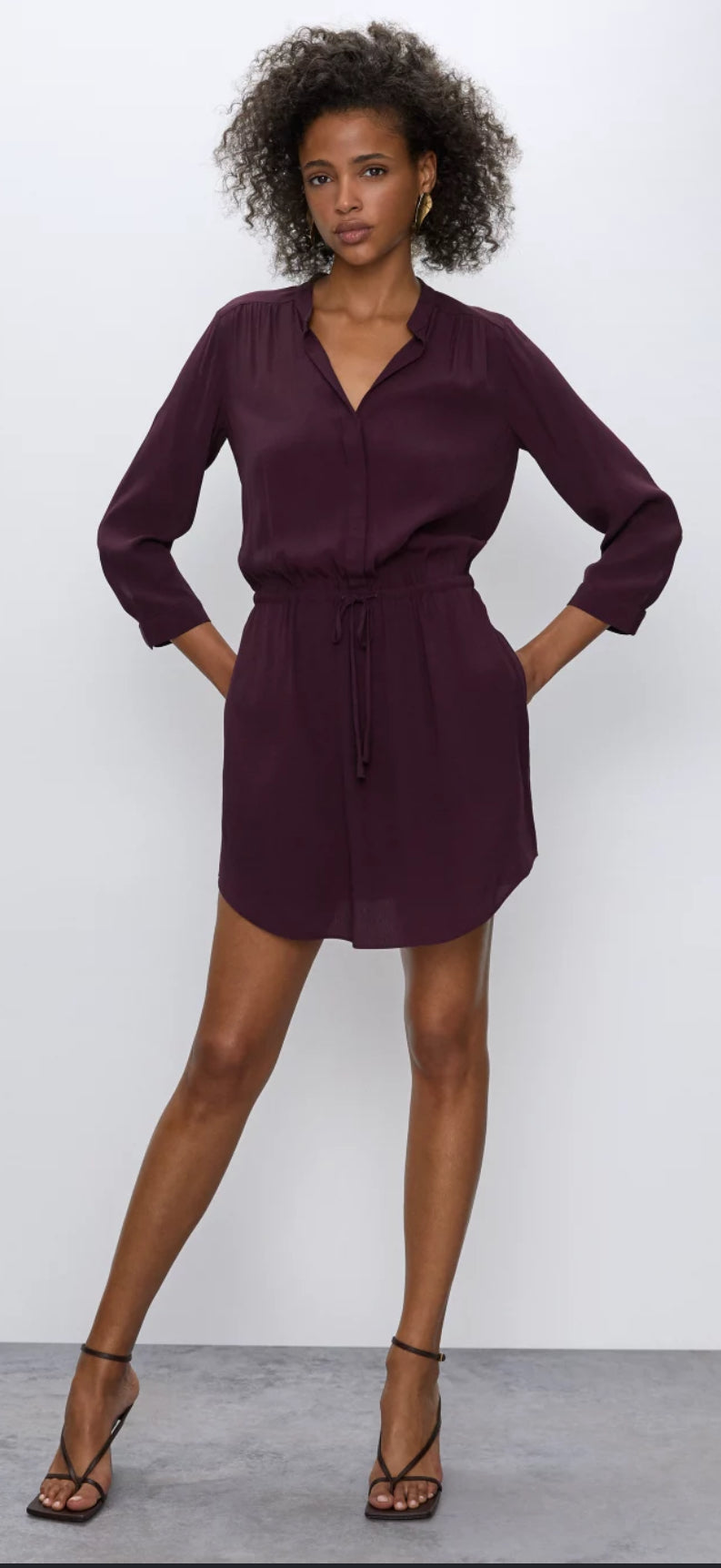 Aritzia Babaton Bennett Silk Dress (S)
