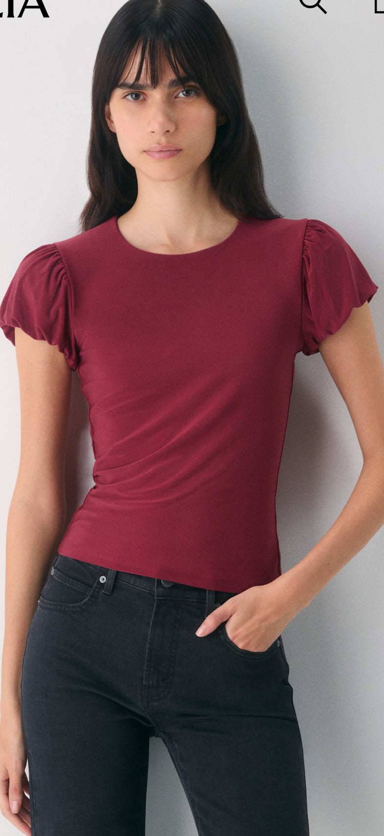Aritzia Wilfred Olympia Tee (M)