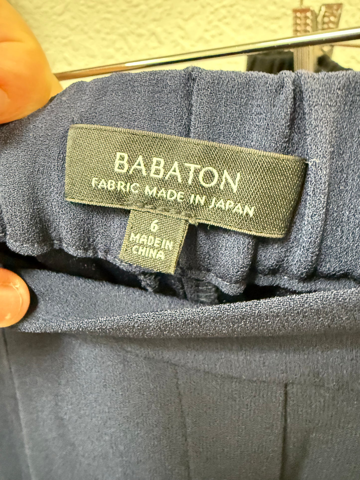Aritzia Babaton Harvey Pant (6)