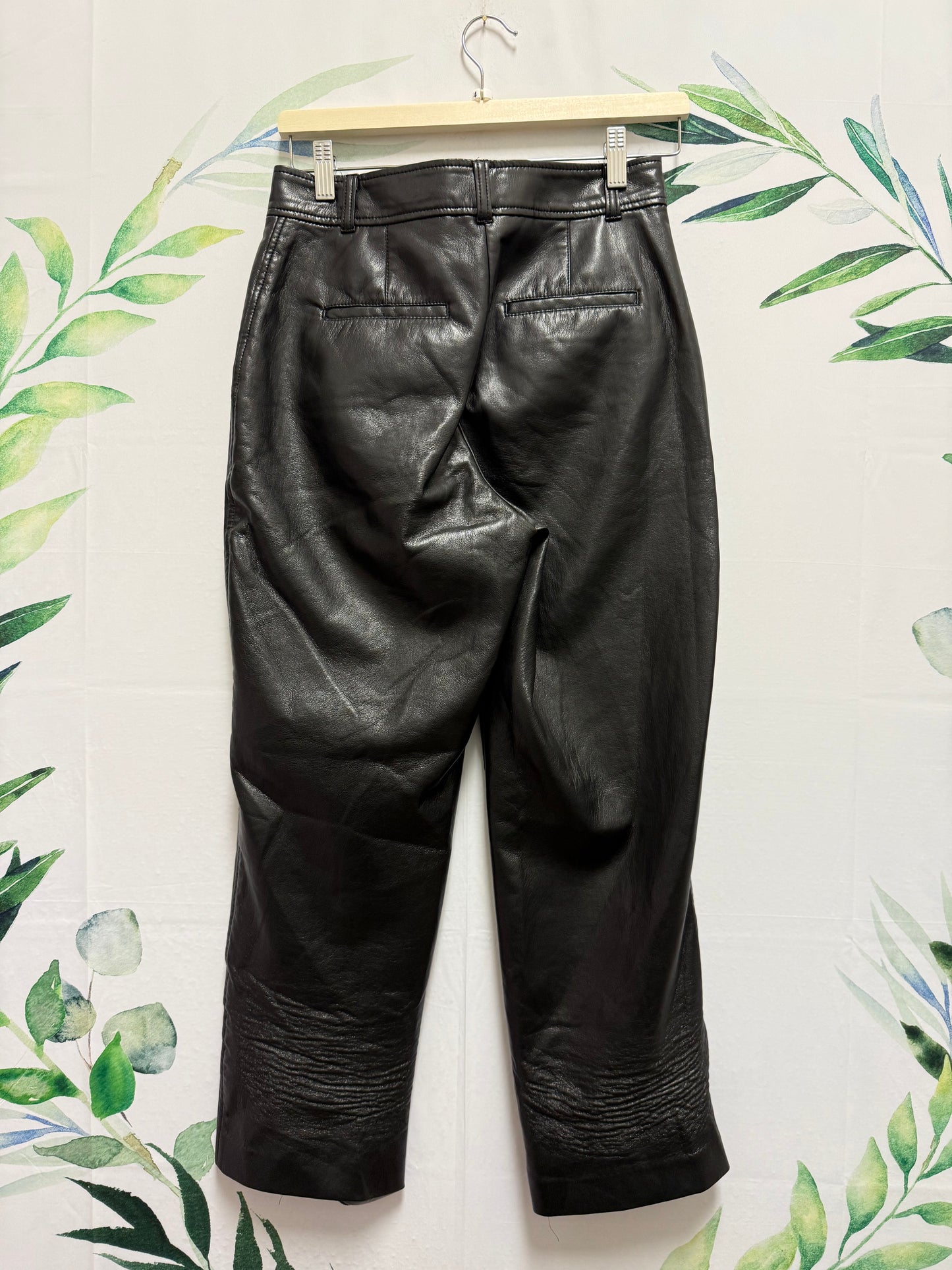 Aritzia Babaton Command Pant (4)