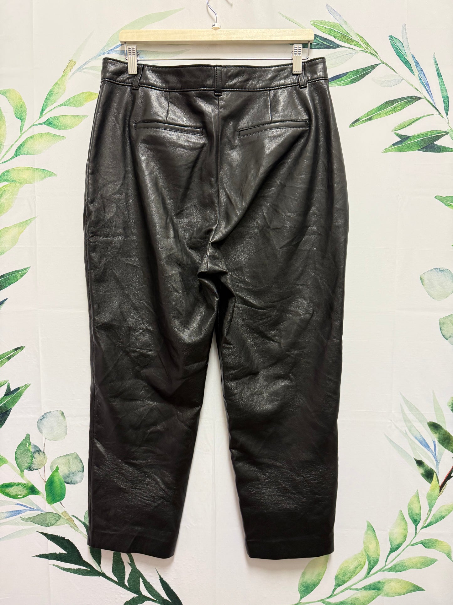 Aritzia Babaton Command Pant (14)