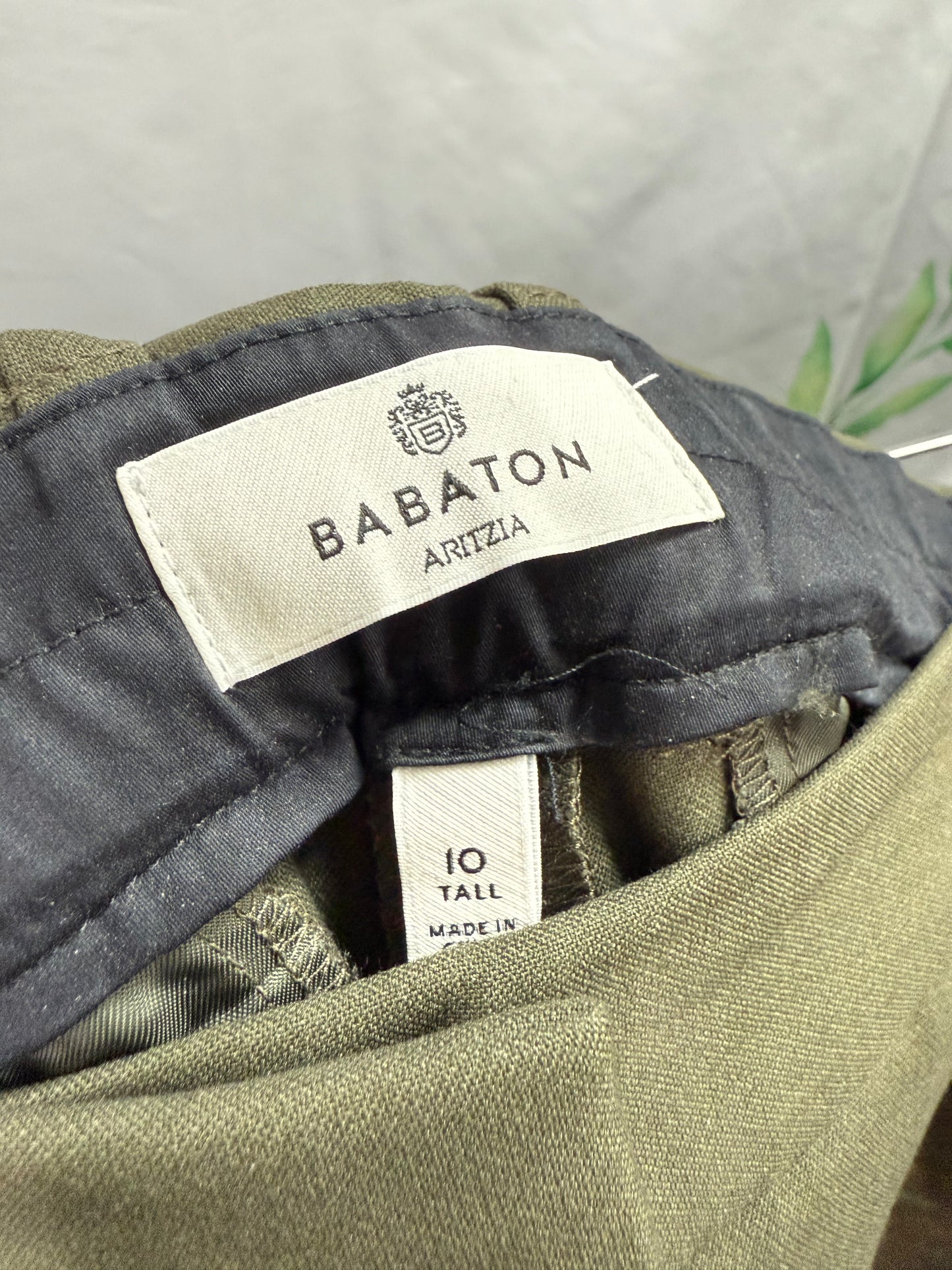 Aritzia Babaton Agency HR Pant 33” (10)