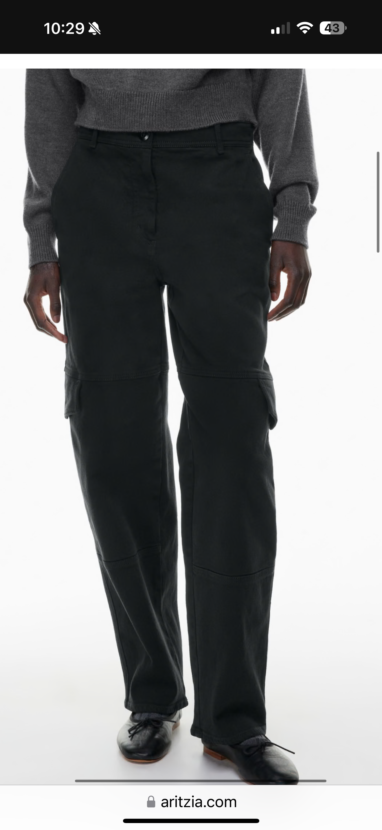 Aritzia Wilfred Free Maeve Cargo Pants (6)