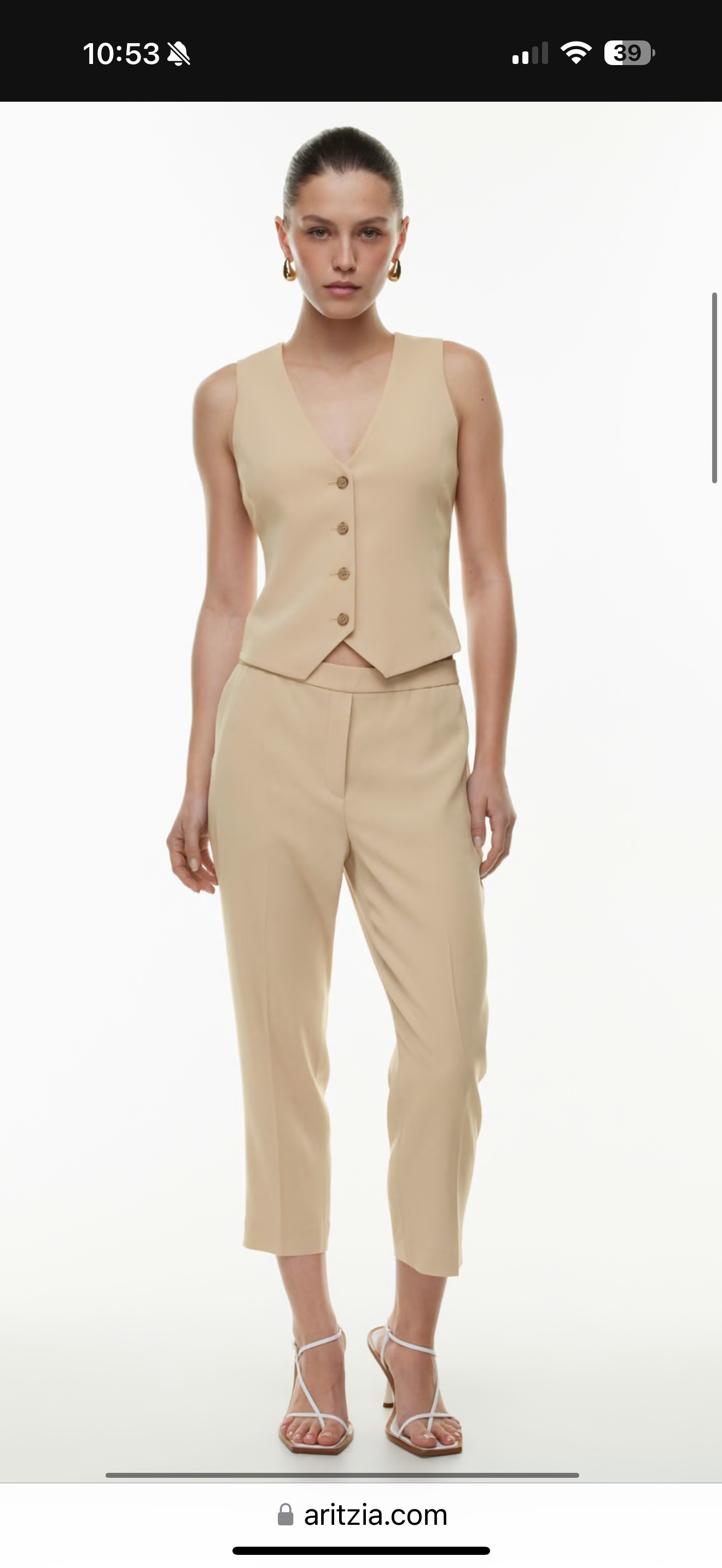 Aritzia Babaton Conan Pant (2)
