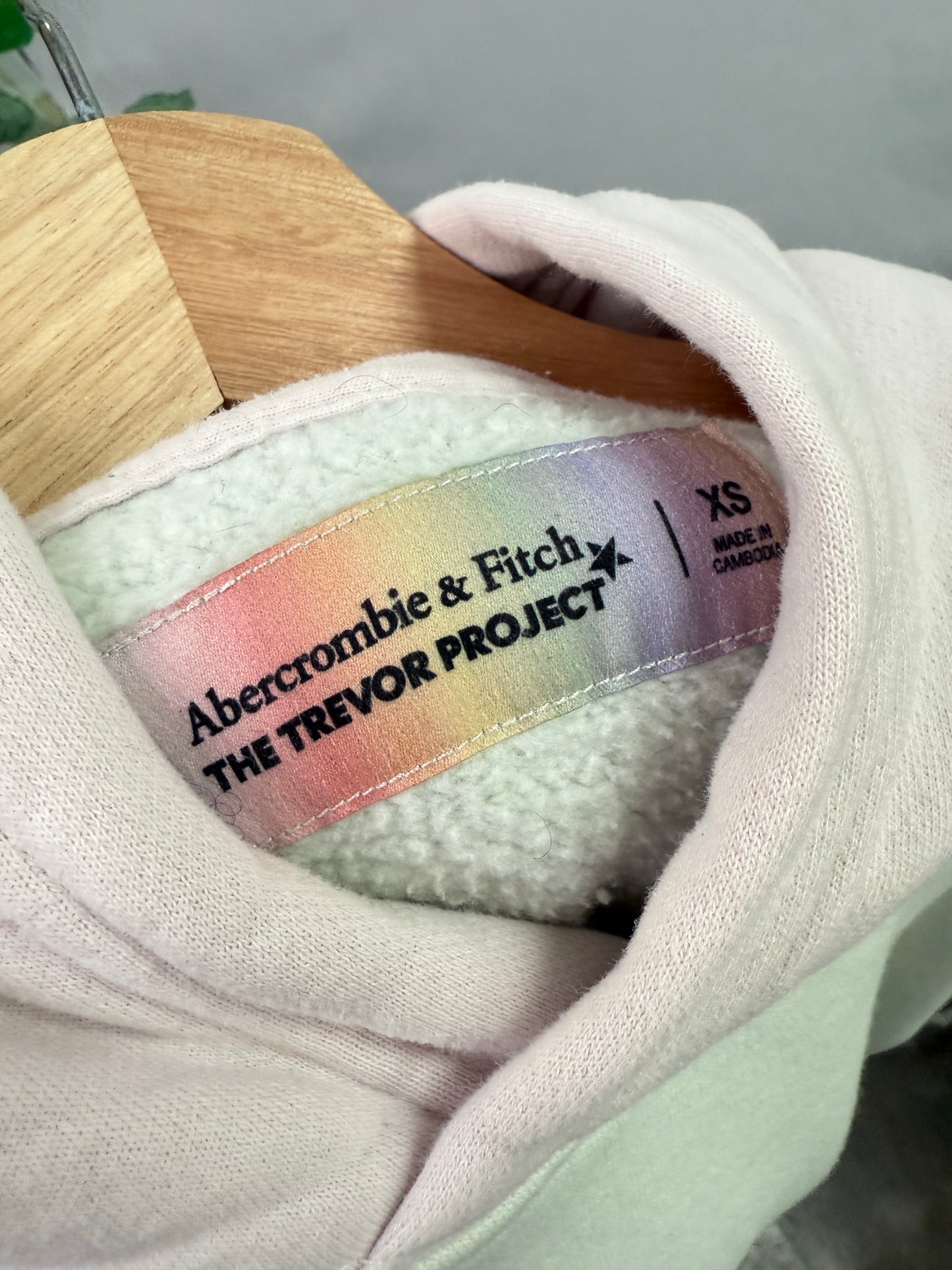 Abercrombie The Trevor Project Hoodie (XS)