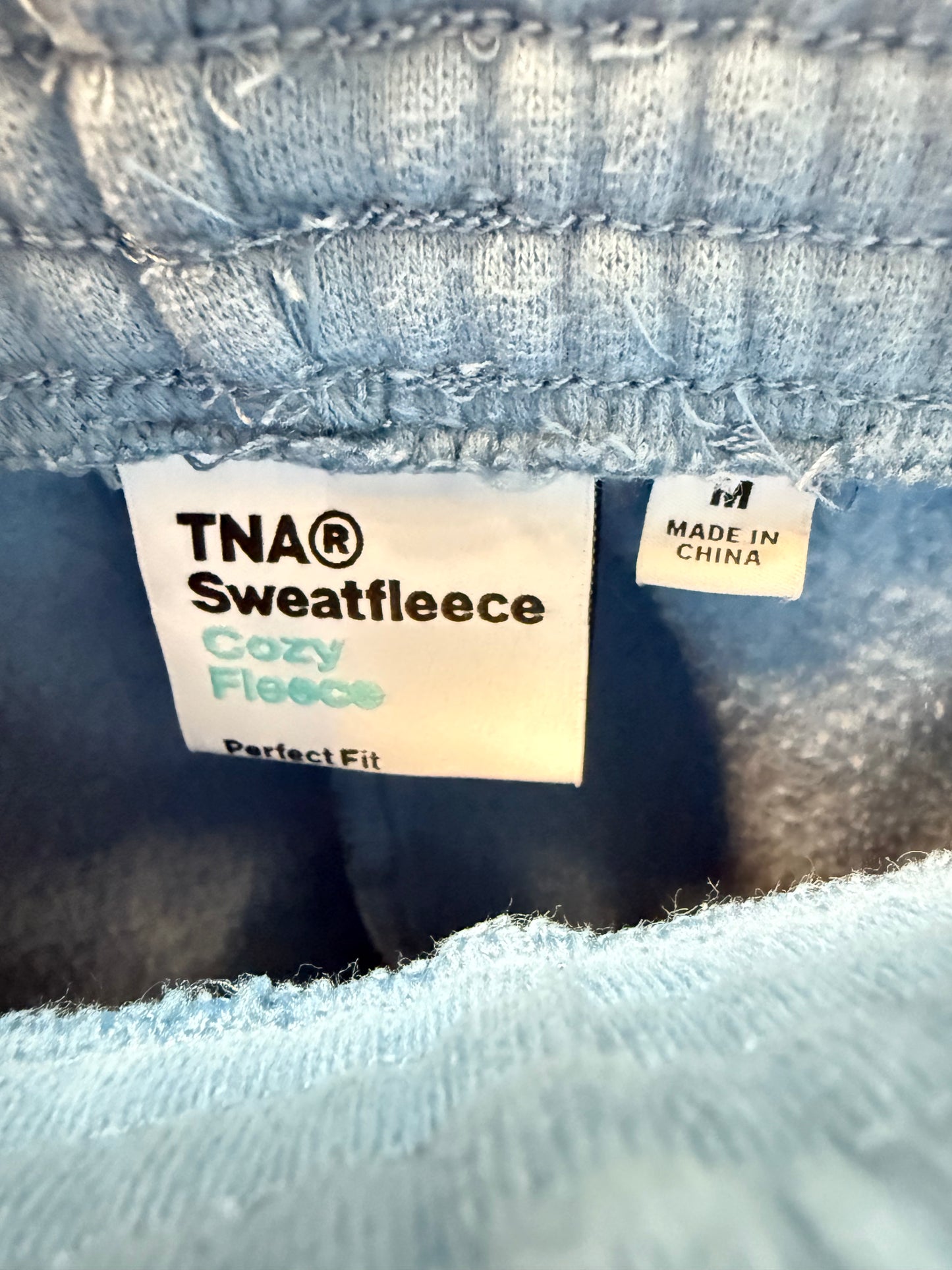 Aritzia TNA Cozyfleece Perfect Sweatpant 30” (M)