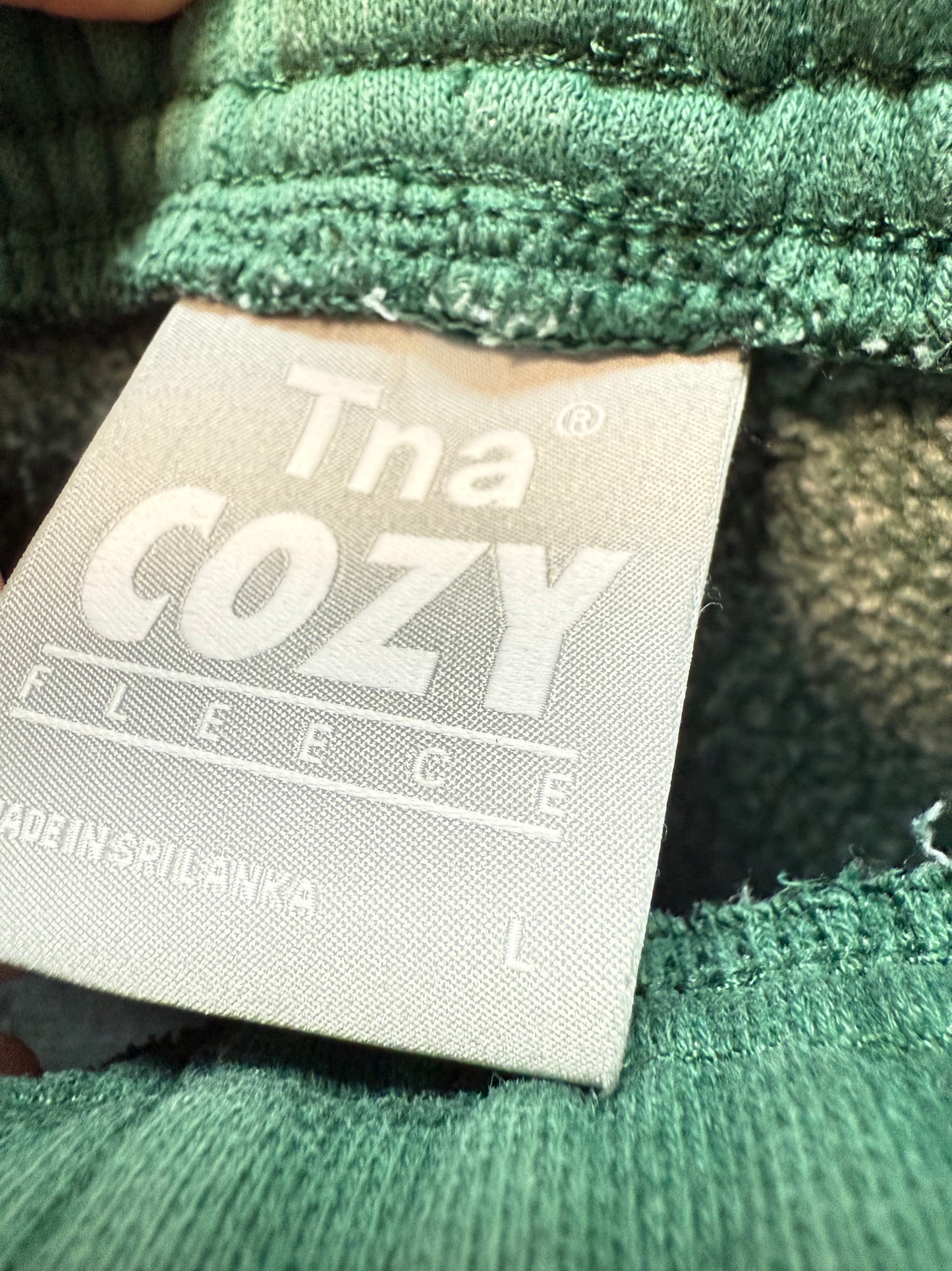 Aritzia TNA Cozyfleece Sweatpant (L)