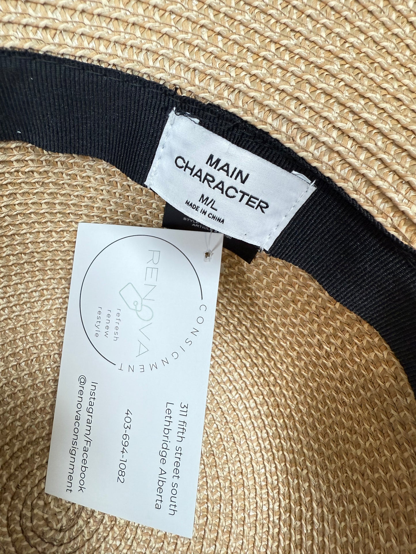 Aritzia Main Character Hat (M/L)