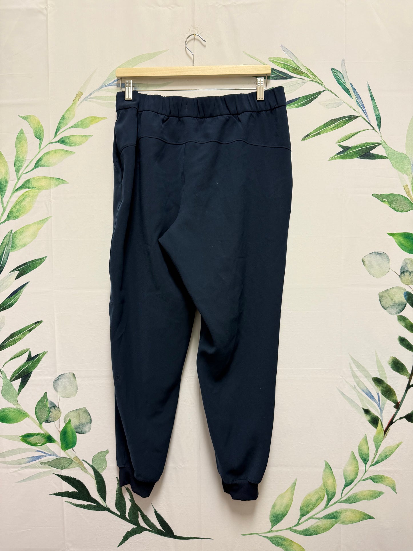 Lululemon On The Fly MR Jogger 28” (12)