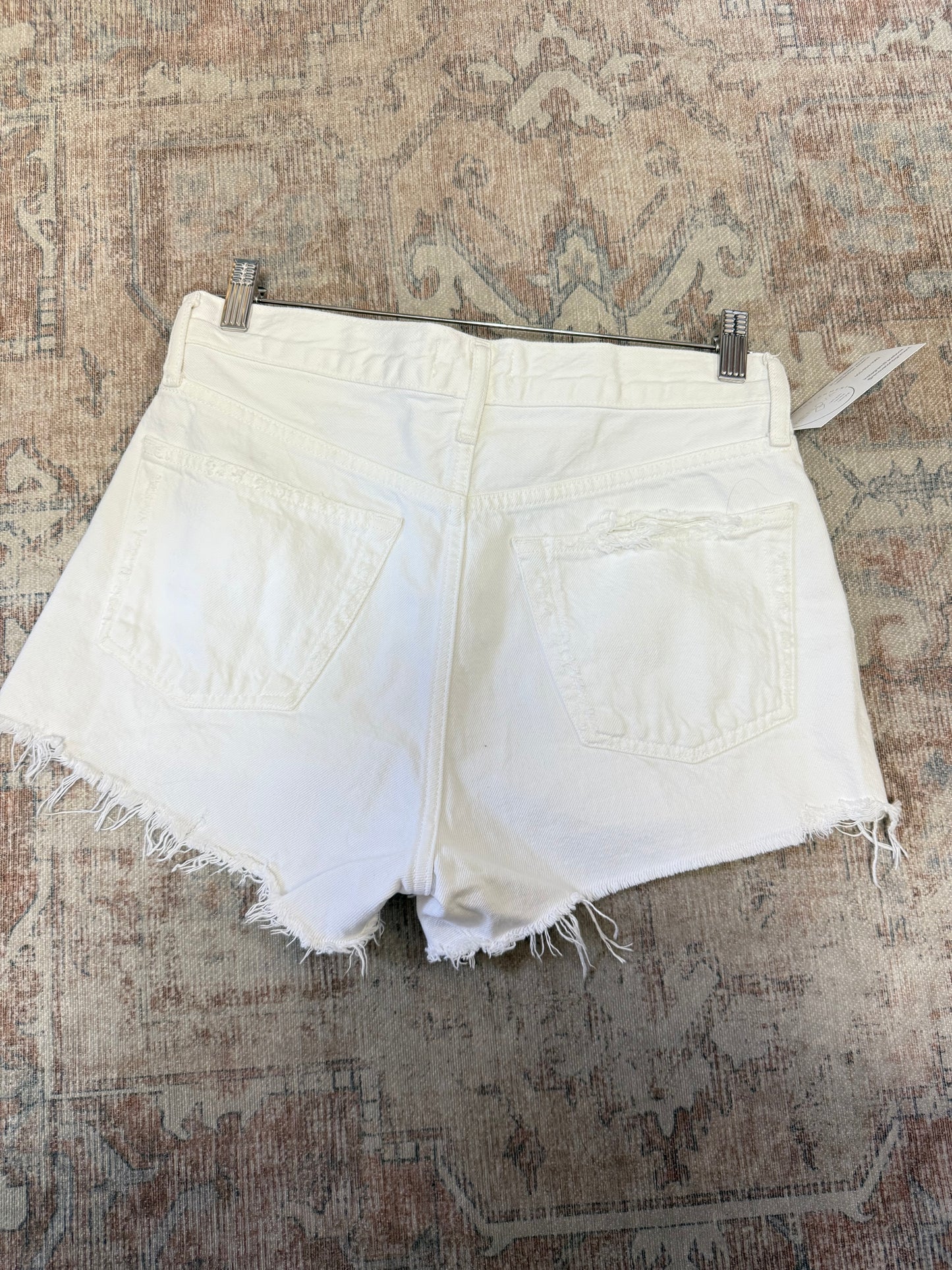 Agolde Parker HR Shorts (25)