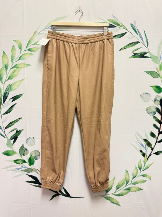 Aritzia Babaton Zedel Jogger (L)