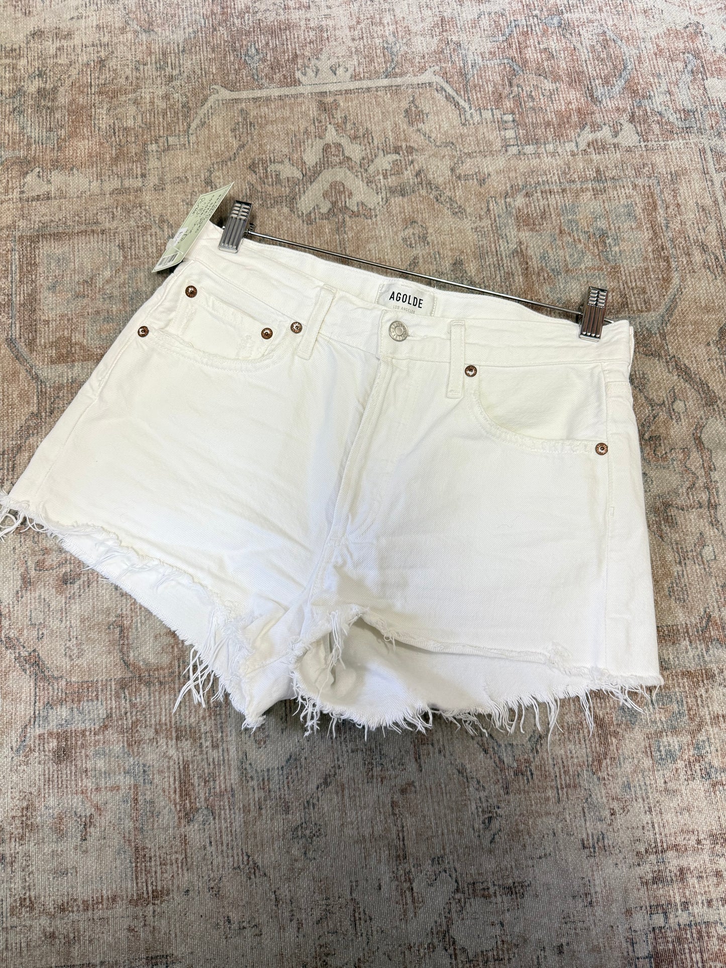 Agolde Parker HR Shorts (25)