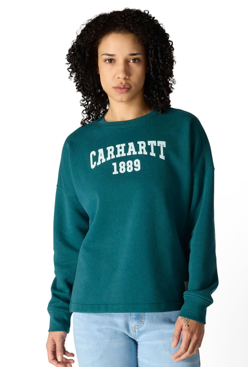 Carhartt Graphic Midweight Loose Fit Crewneck (M)