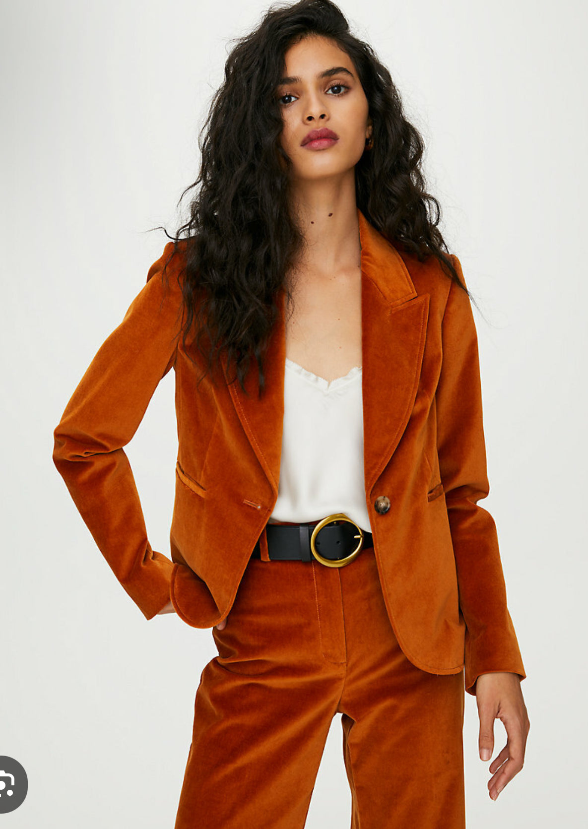 Wilfred Mona Velvet Blazer (10)