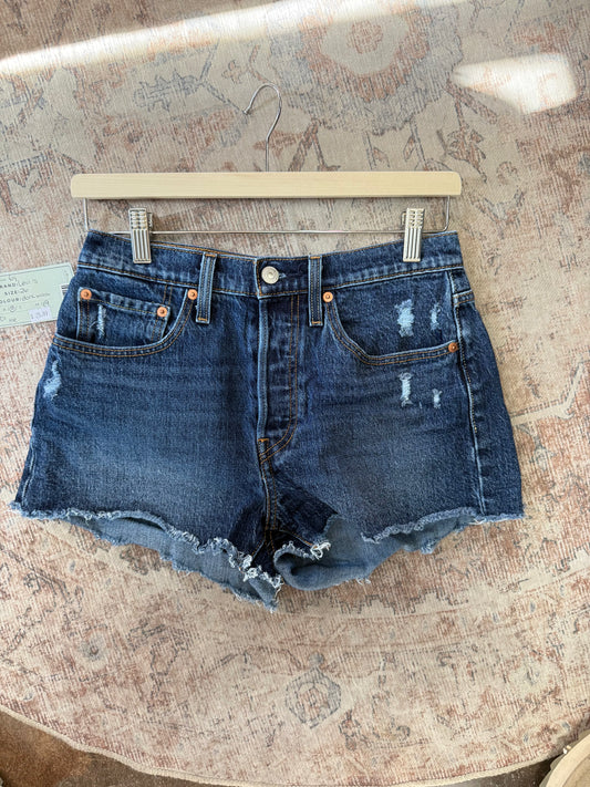 Levi’s 501 Shorts (26)