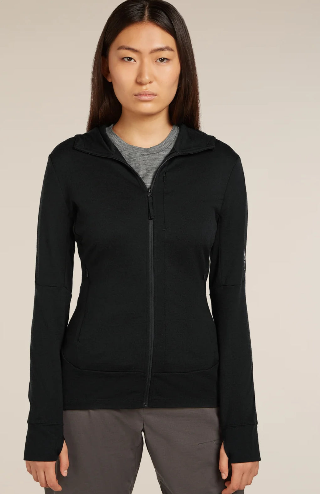 IceBreaker Merino 260 Quantum Hoodie (S)
