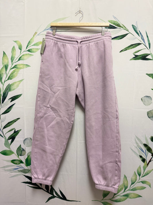 Aritzia TNA CozyAF Fleece Sweatpants (1X)