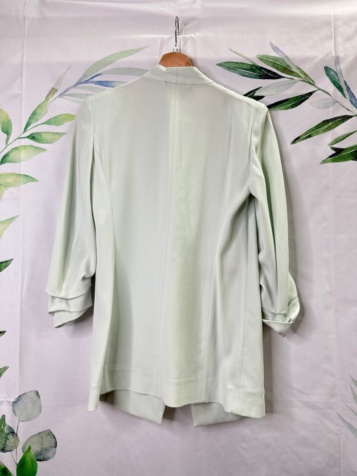 Aritzia Babaton Power Hip Blazer (0)