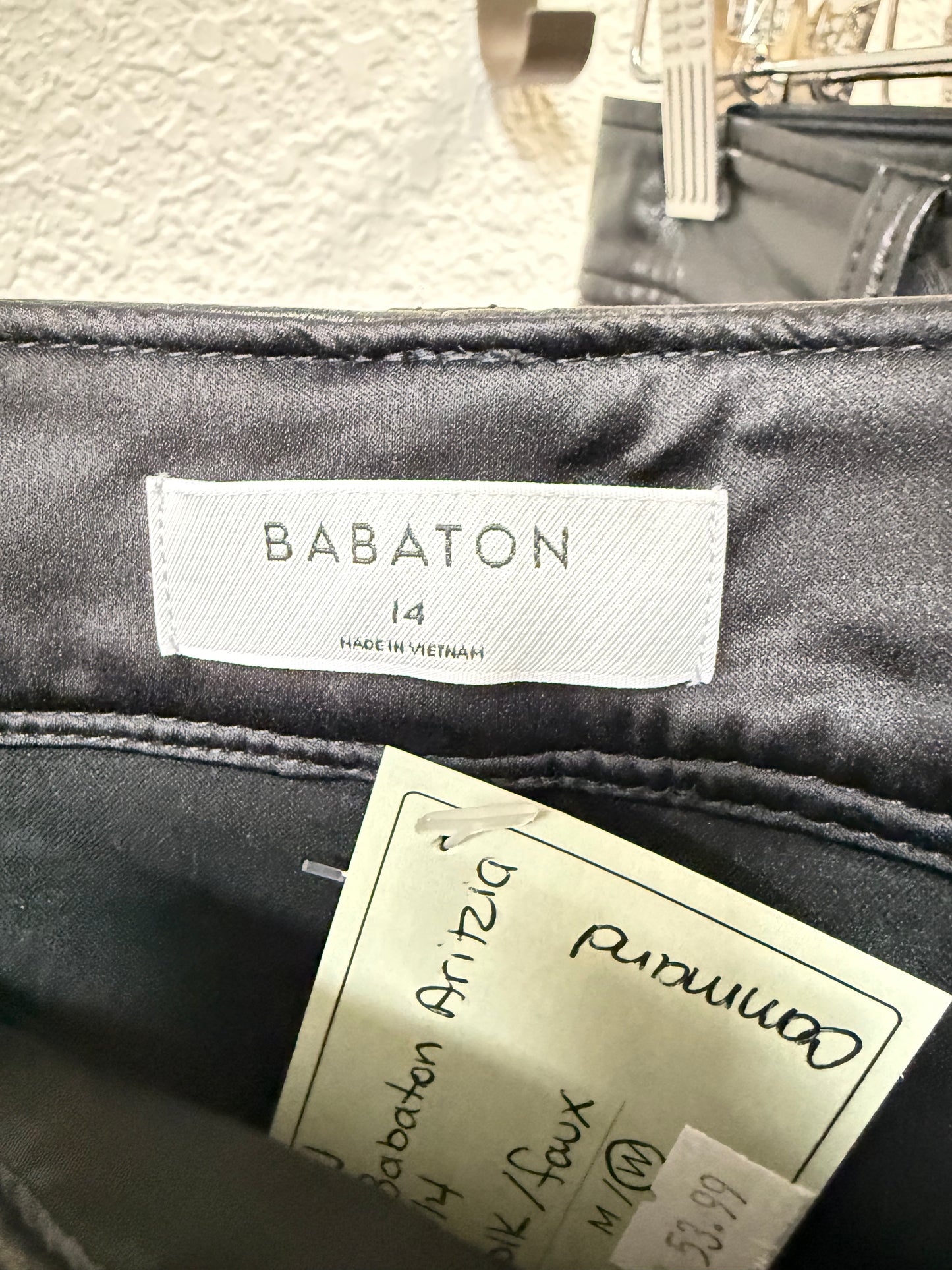 Aritzia Babaton Command Pant (14)