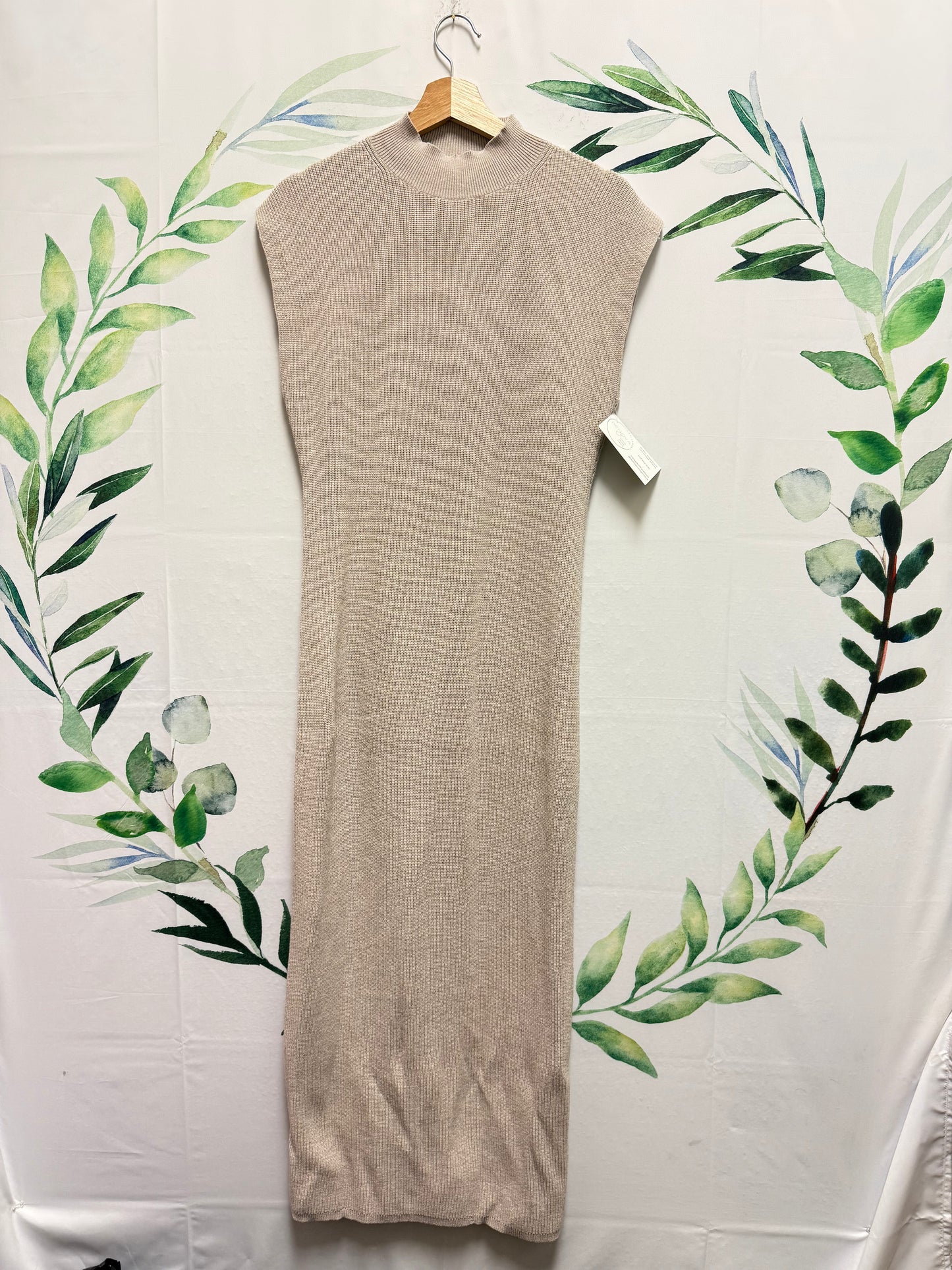 Aritzia Wilfred Pinot Dress (XL)