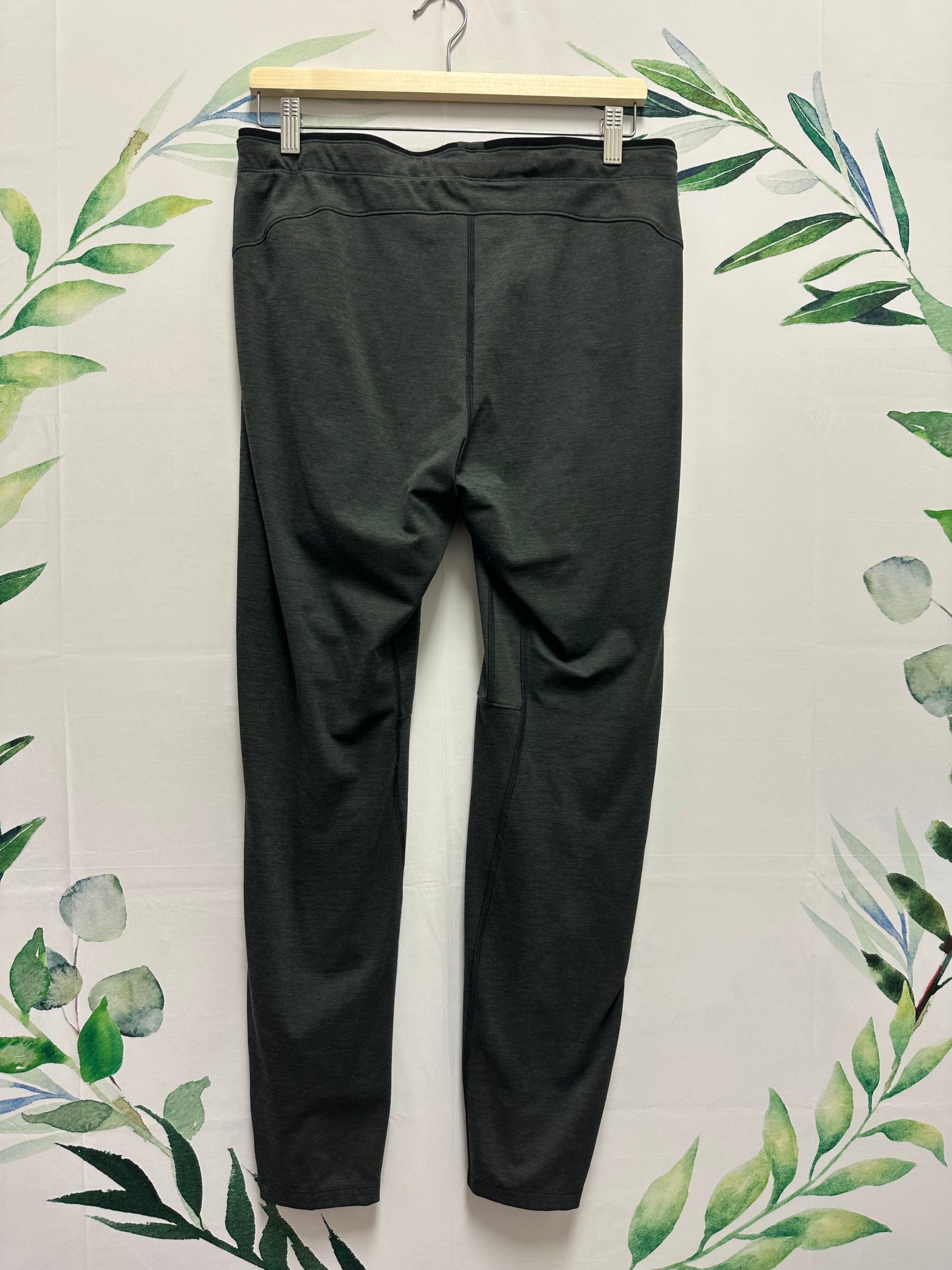 Arcteryx Jogger (M)