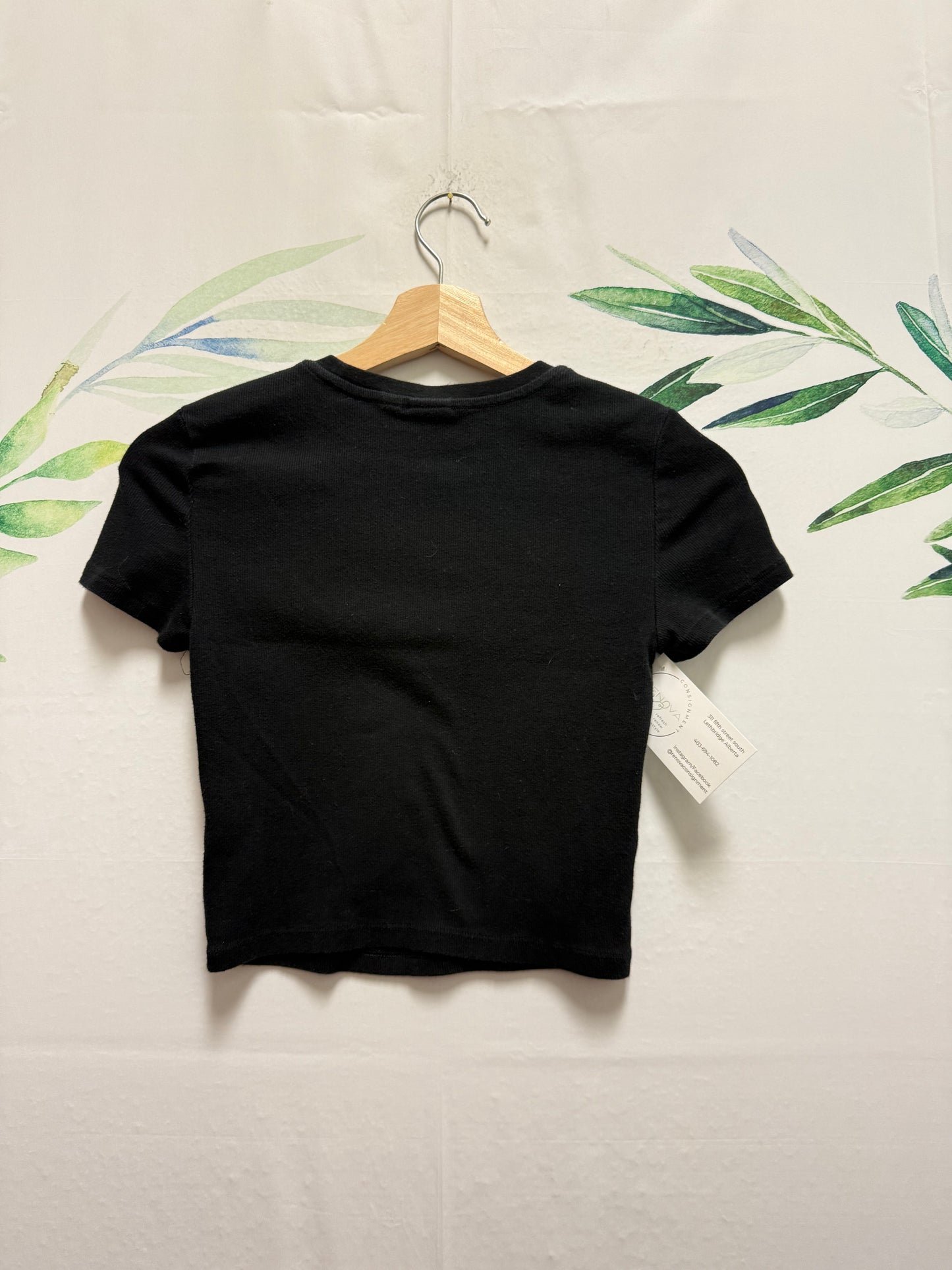 Aritzia Homestretch Crop Tee (S)