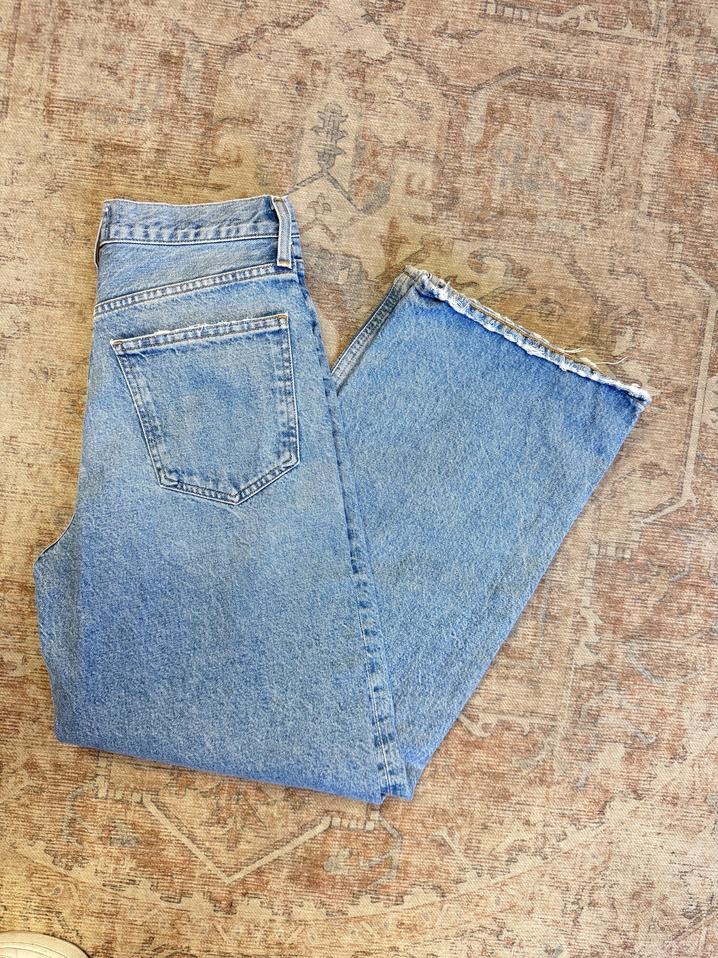Agolde Low Slung Baggy Jeans (25x31)