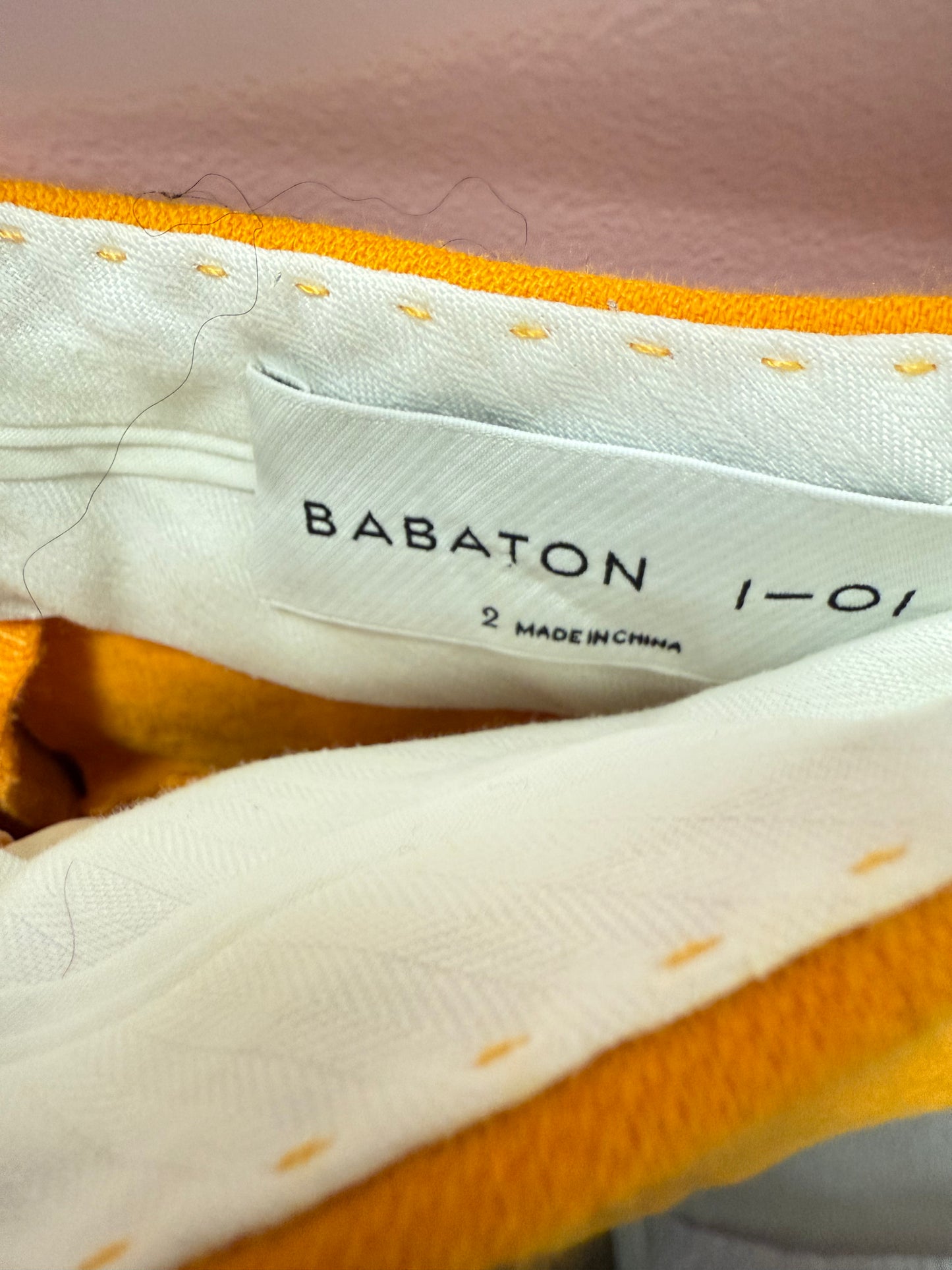 Aritzia Babaton HR Dress Pant (2)