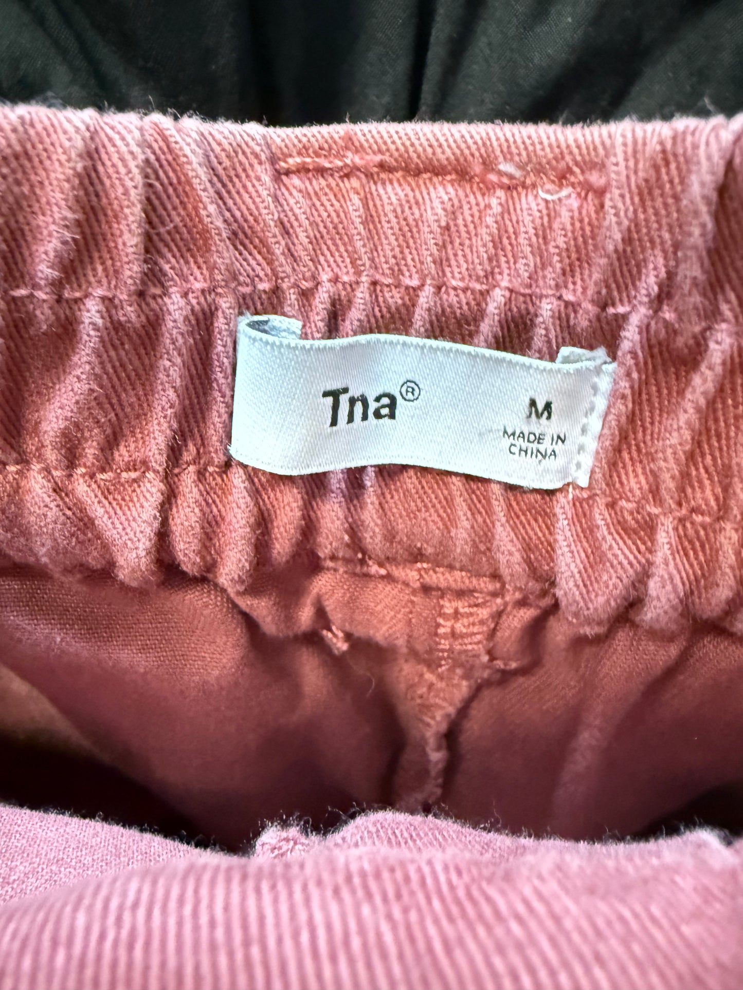 Aritzia TNA Cargo Short 3” (M)