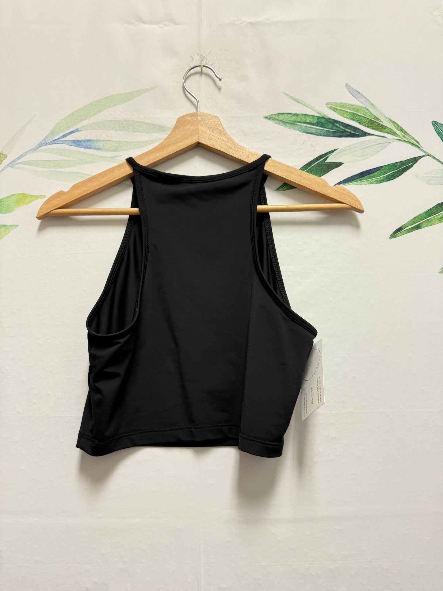 Aritzia Babaton High Neck Crop Tank (M)