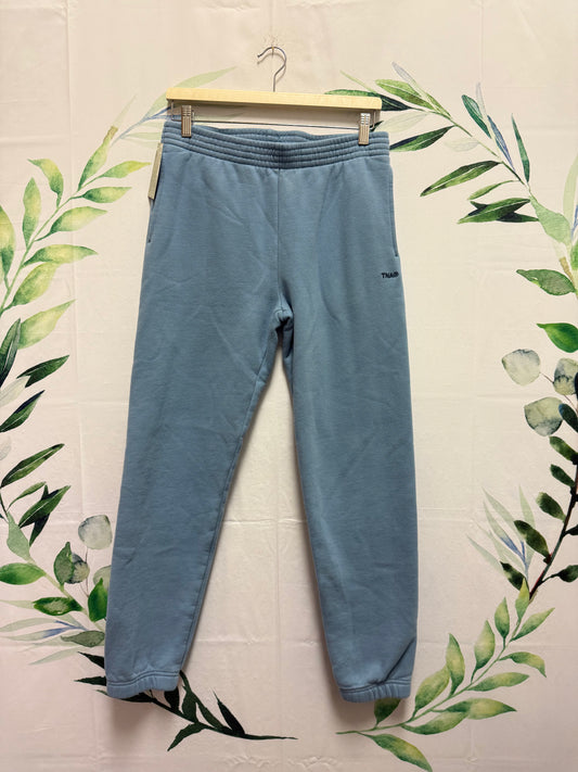 Aritzia TNA Cozyfleece Perfect Sweatpant 30” (M)