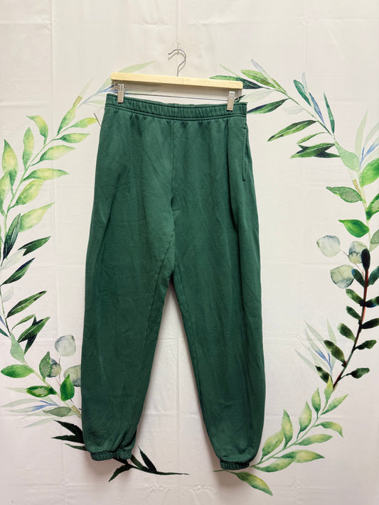Aritzia TNA Cozyfleece Sweatpant (L)