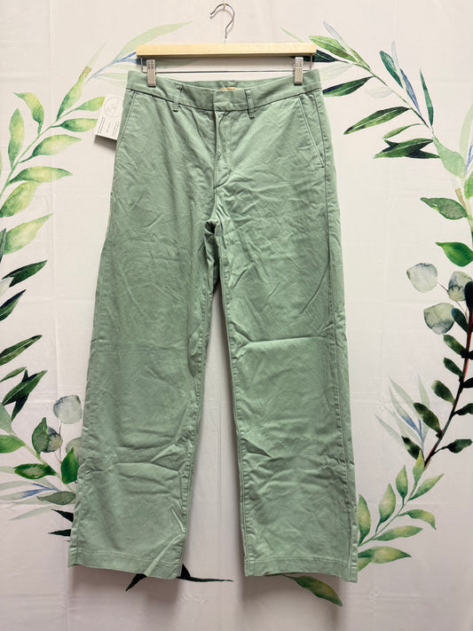 Levi Baggy Trouser Pant (27)