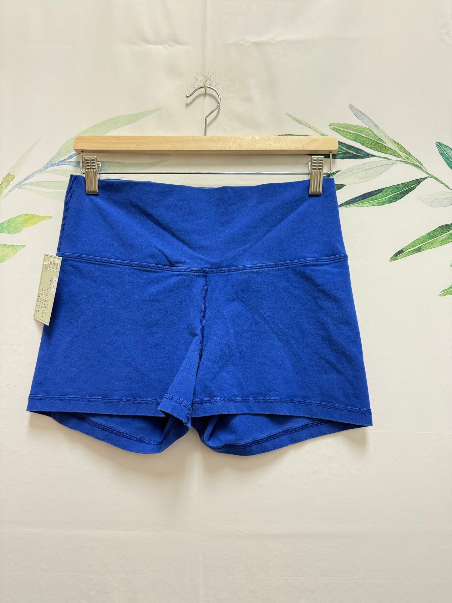 Aritzia TNA Hold It Atmosphere HR Shorts 3” (L)