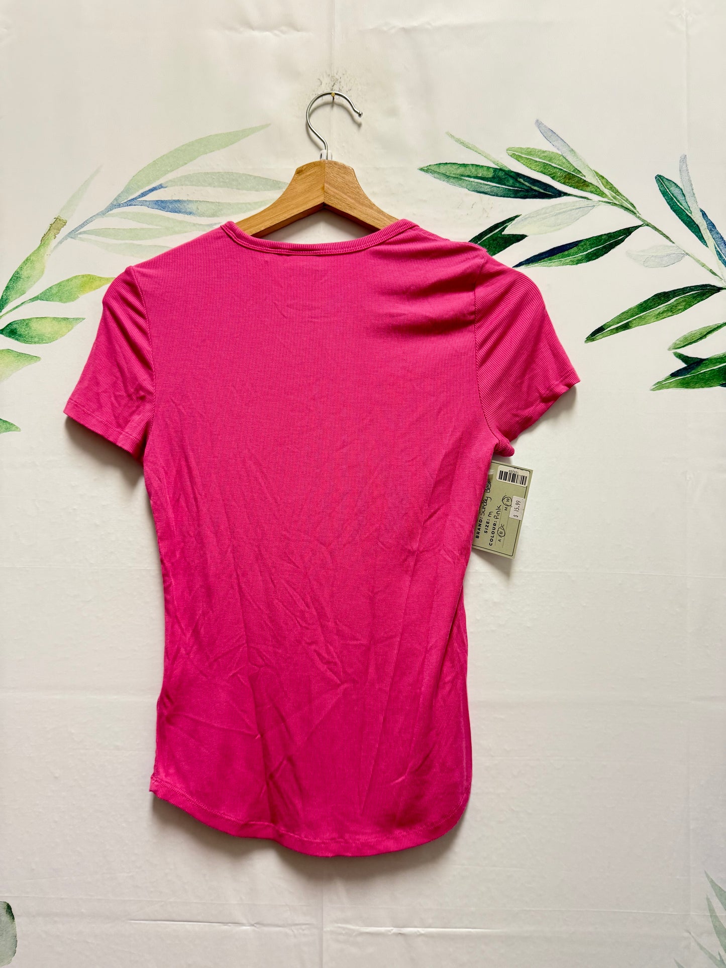 Aritzia Sunday Best ReRib Tee (M)