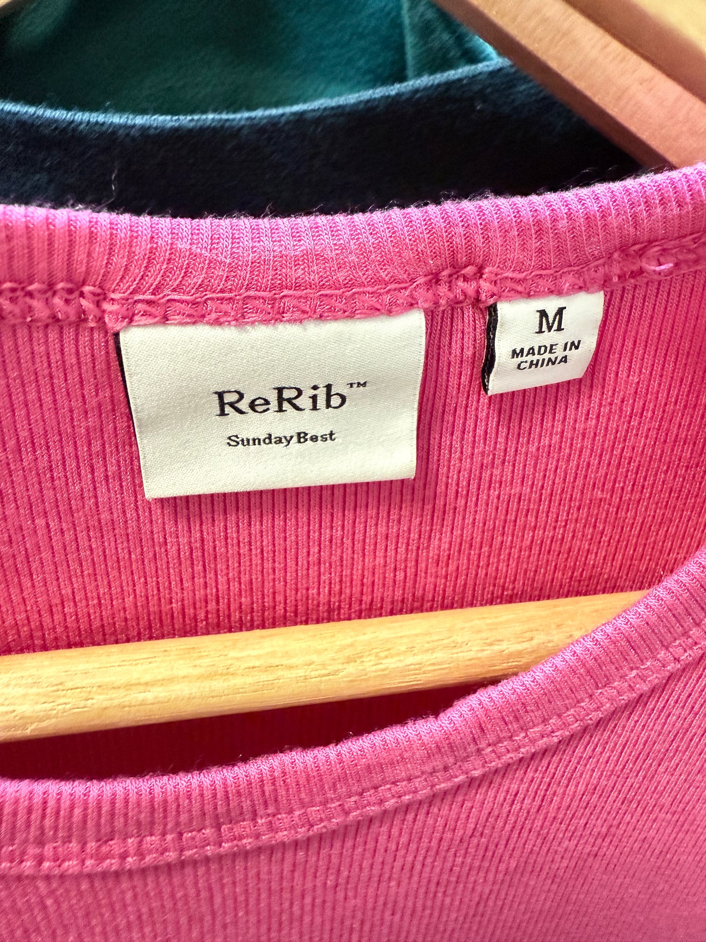 Aritzia Sunday Best ReRib Tee (M)