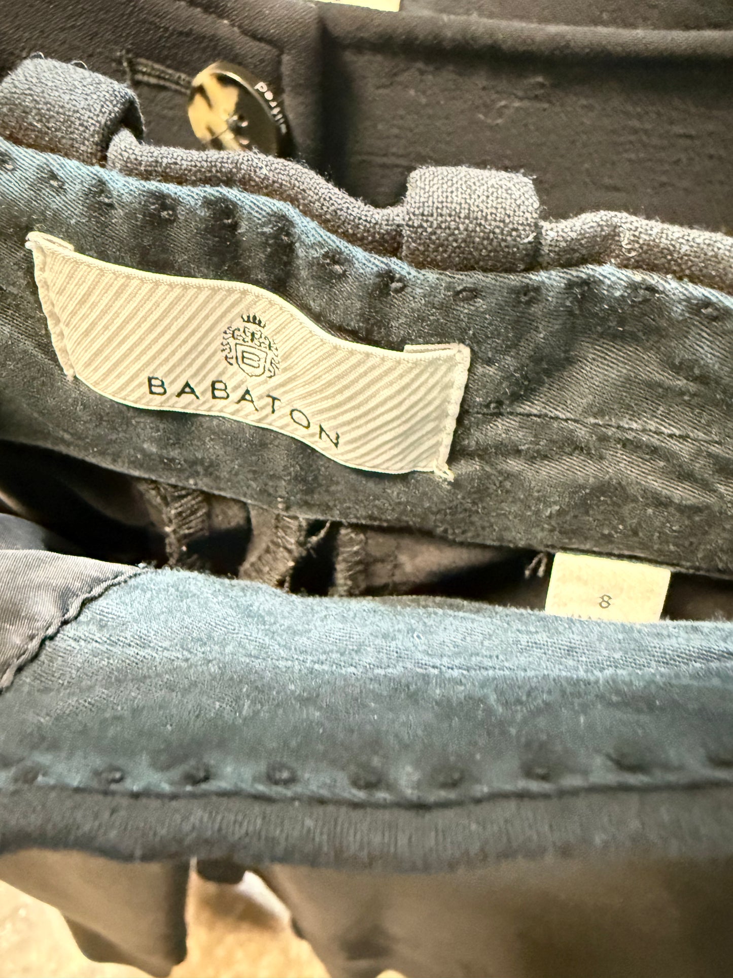 Aritzia Babaton Command HR Pant 29” (8)