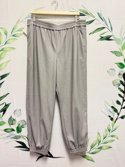 Aritzia Babaton Zedel Jogger (1XL)