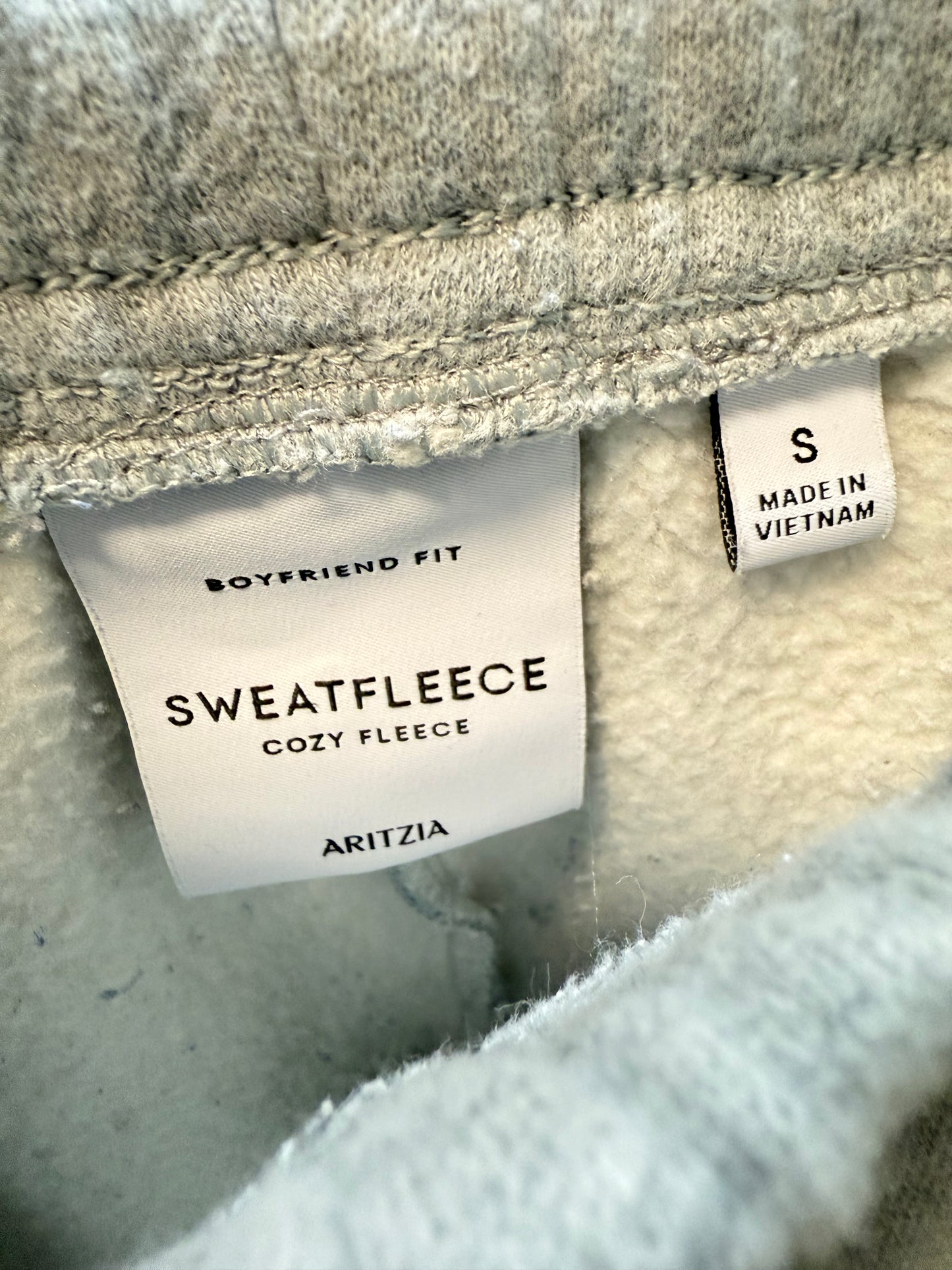 Aritzia Sweatfleece Boyfriend Mini Short (S)